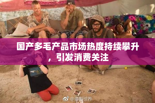 国产多毛产品市场热度持续攀升，引发消费关注
