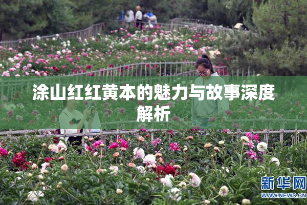 涂山红红黄本的魅力与故事深度解析