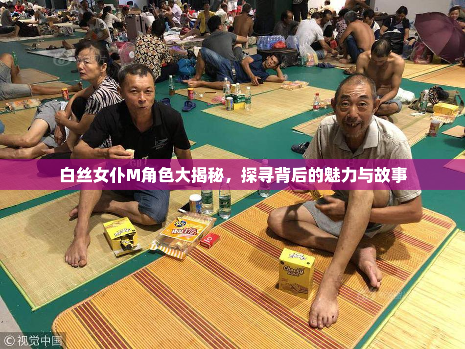 白丝女仆M角色大揭秘，探寻背后的魅力与故事