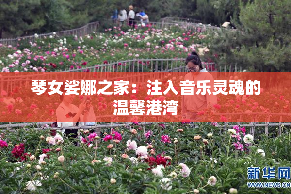 琴女娑娜之家：注入音乐灵魂的温馨港湾