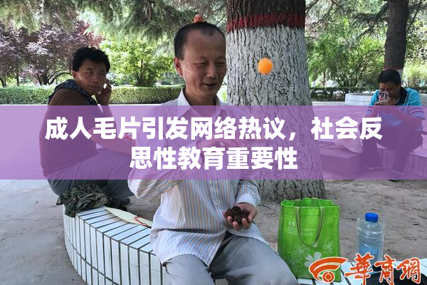 成人毛片引发网络热议，社会反思性教育重要性