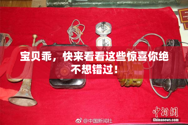 宝贝乖，快来看看这些惊喜你绝不想错过！