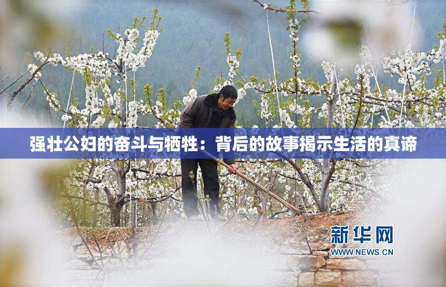 强壮公妇的奋斗与牺牲：背后的故事揭示生活的真谛
