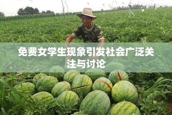 免费女学生现象引发社会广泛关注与讨论