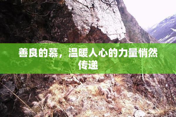 善良的慕，温暖人心的力量悄然传递