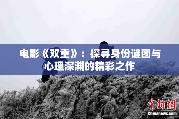 电影《双重》：探寻身份谜团与心理深渊的精彩之作