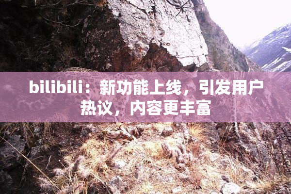 bilibili：新功能上线，引发用户热议，内容更丰富