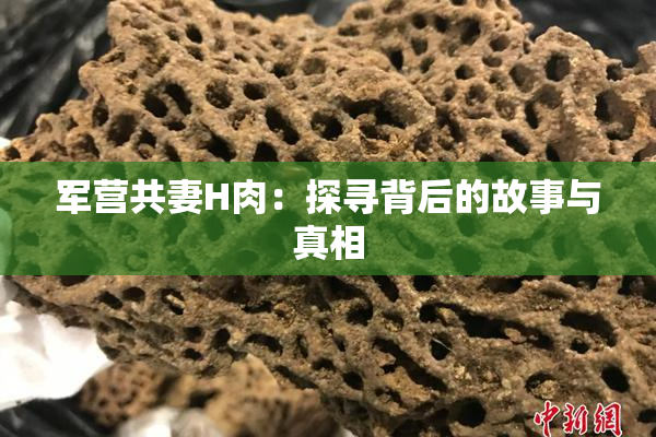 军营共妻H肉：探寻背后的故事与真相