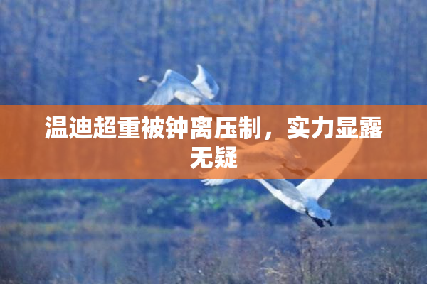 温迪超重被钟离压制，实力显露无疑