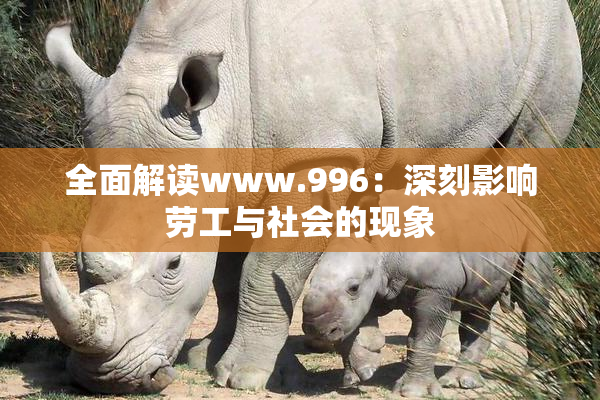 全面解读www.996：深刻影响劳工与社会的现象