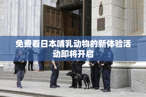 免费看日本哺乳动物的新体验活动即将开启