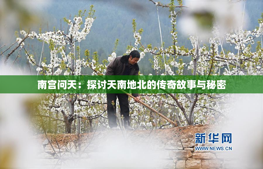 南宫问天：探讨天南地北的传奇故事与秘密