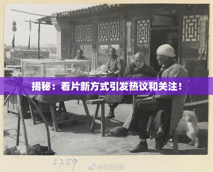 揭秘：看片新方式引发热议和关注！