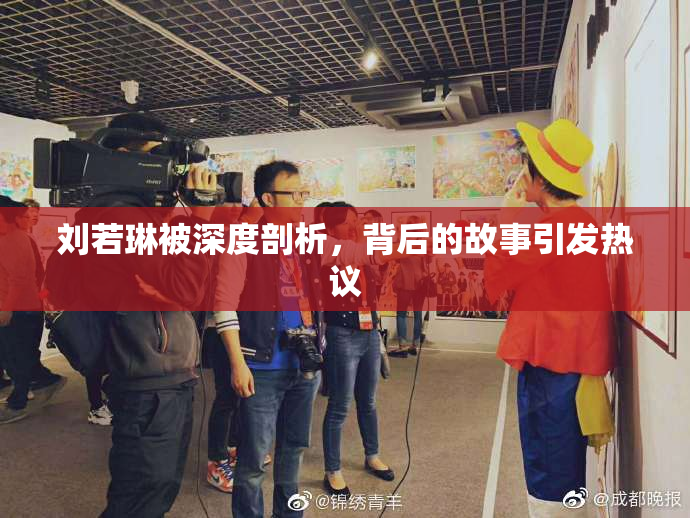 刘若琳被深度剖析，背后的故事引发热议