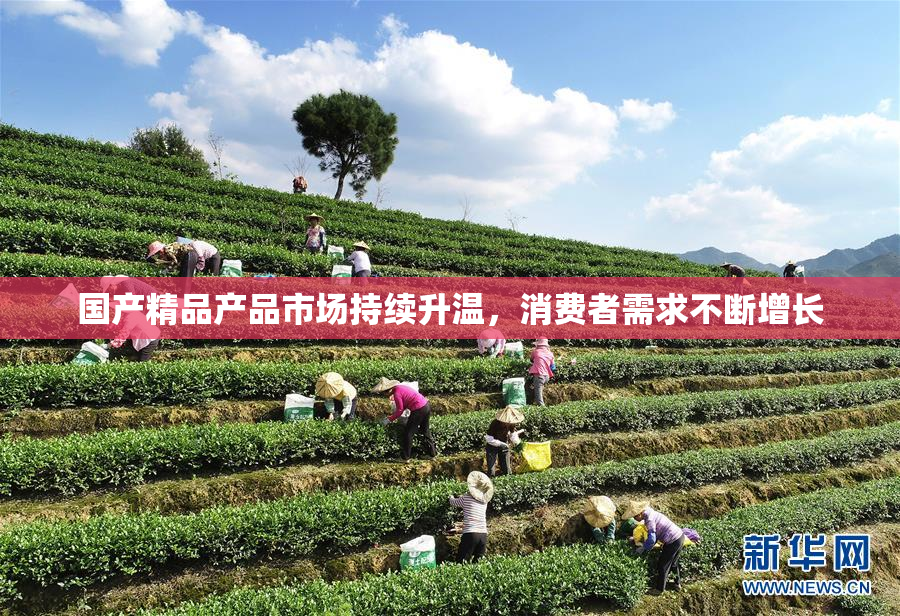 国产精品产品市场持续升温，消费者需求不断增长