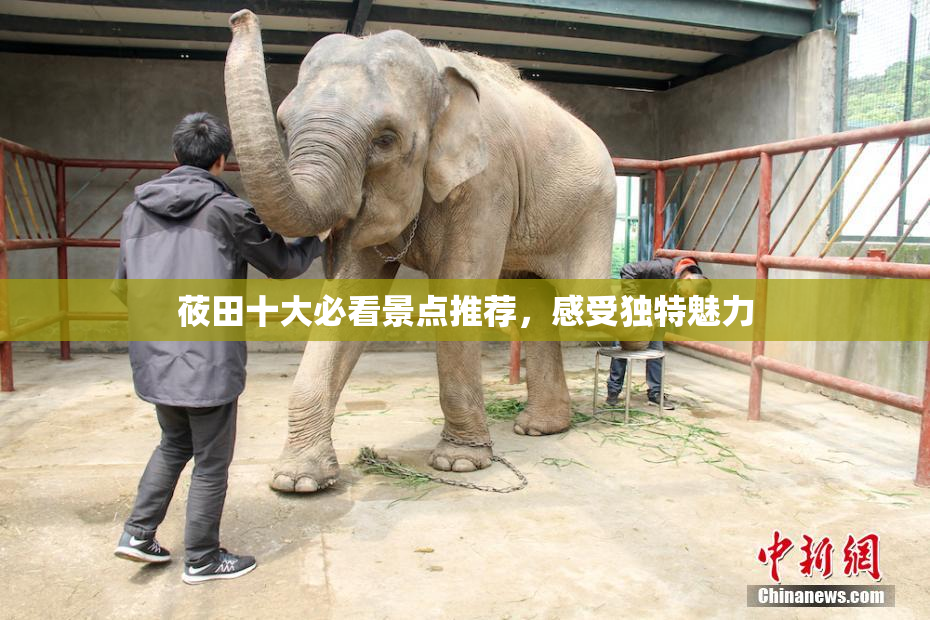 莜田十大必看景点推荐，感受独特魅力