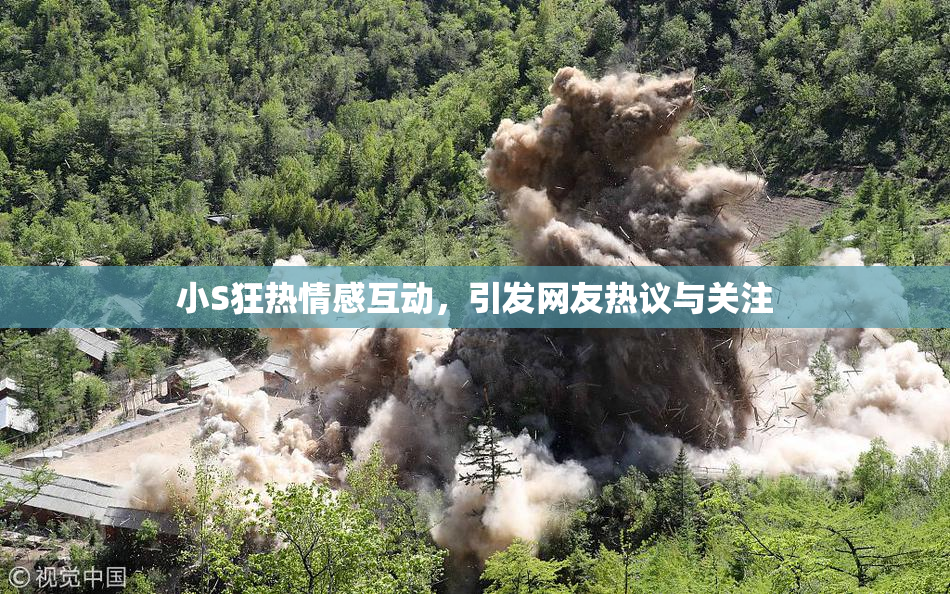 小S狂热情感互动，引发网友热议与关注
