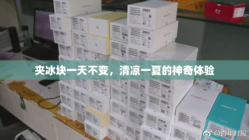 夹冰块一天不变，清凉一夏的神奇体验