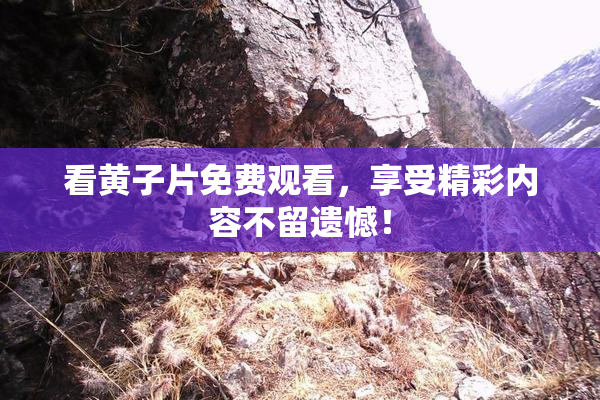 看黄子片免费观看，享受精彩内容不留遗憾！