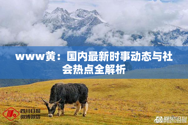 www黄：国内最新时事动态与社会热点全解析