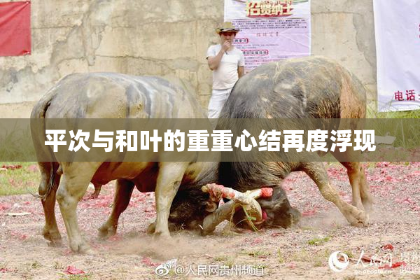 平次与和叶的重重心结再度浮现