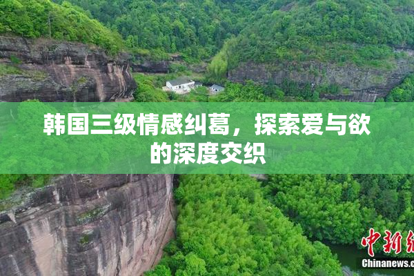 韩国三级情感纠葛，探索爱与欲的深度交织