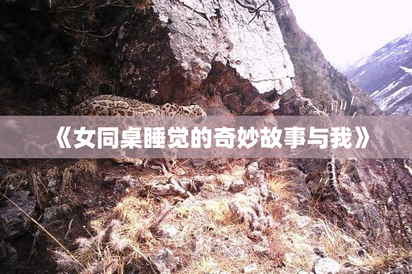 《女同桌睡觉的奇妙故事与我》