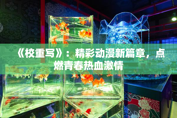 《校重写》：精彩动漫新篇章，点燃青春热血激情