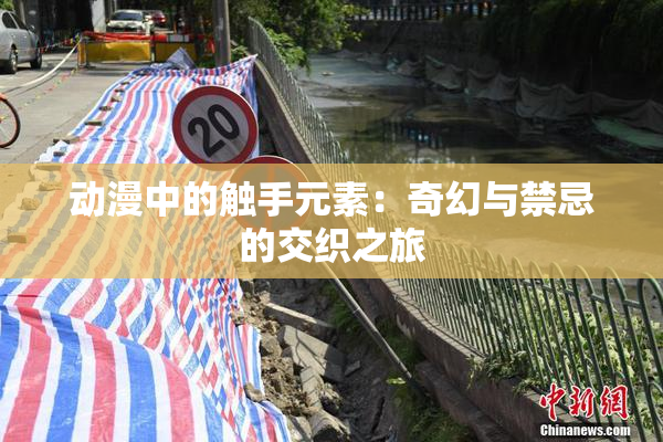 动漫中的触手元素：奇幻与禁忌的交织之旅