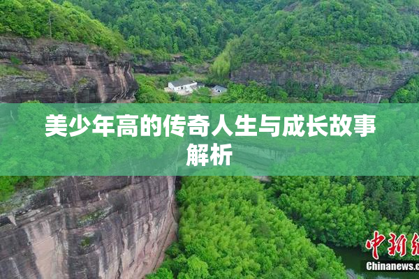 美少年高的传奇人生与成长故事解析