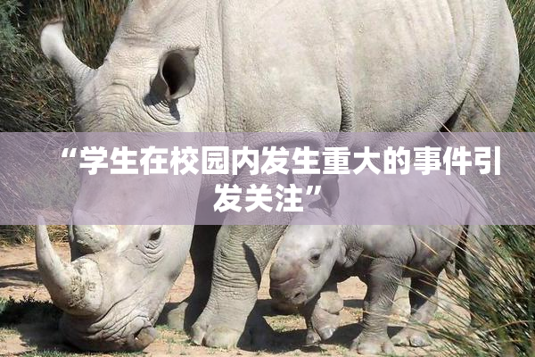 “学生在校园内发生重大的事件引发关注”