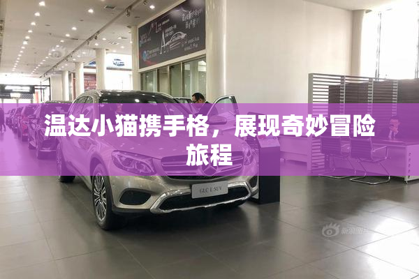 温达小猫携手格，展现奇妙冒险旅程