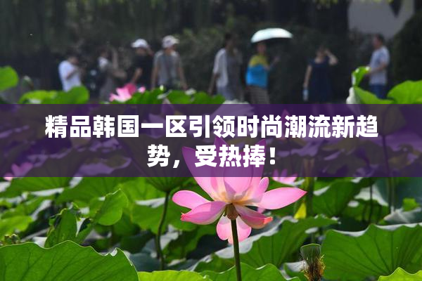 精品韩国一区引领时尚潮流新趋势，受热捧！