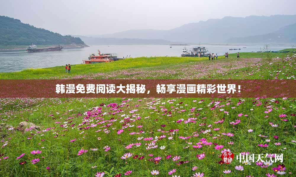 韩漫免费阅读大揭秘，畅享漫画精彩世界！
