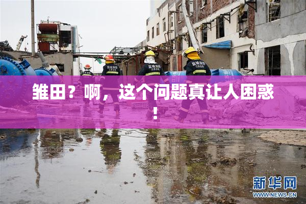 雏田？啊，这个问题真让人困惑！