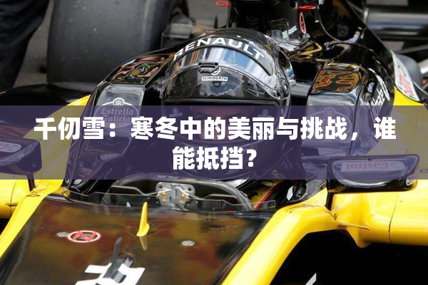 千仞雪：寒冬中的美丽与挑战，谁能抵挡？