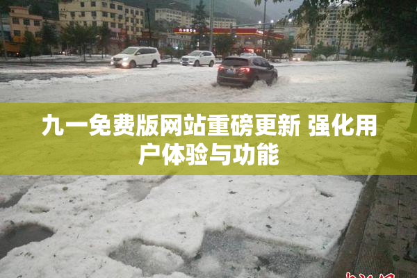 九一免费版网站重磅更新 强化用户体验与功能