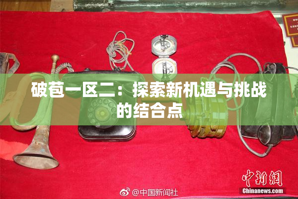 破苞一区二：探索新机遇与挑战的结合点