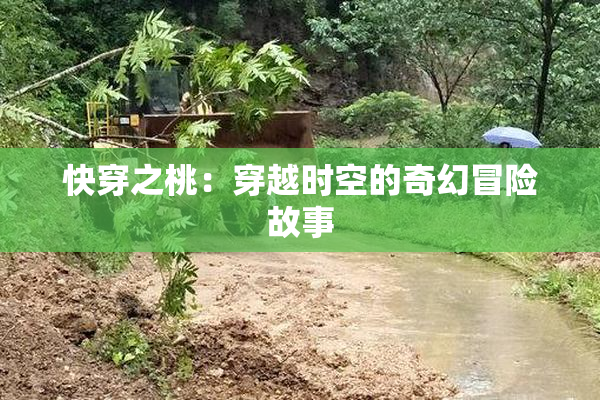 快穿之桃：穿越时空的奇幻冒险故事