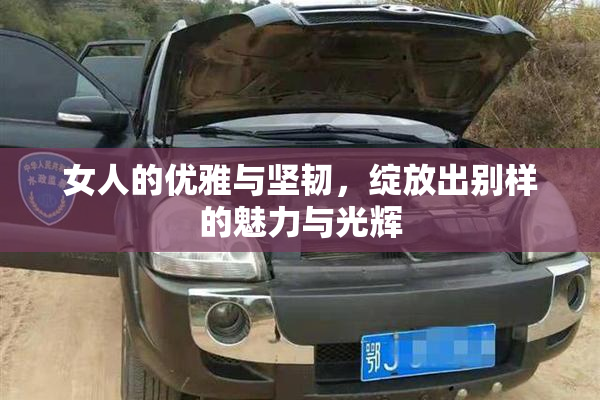 女人的优雅与坚韧，绽放出别样的魅力与光辉