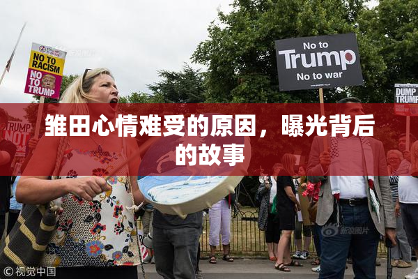 雏田心情难受的原因，曝光背后的故事