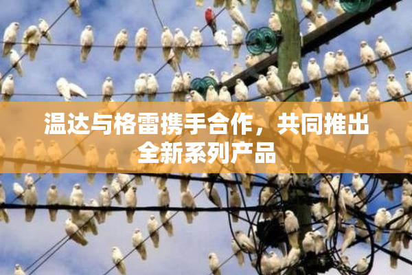 温达与格雷携手合作，共同推出全新系列产品