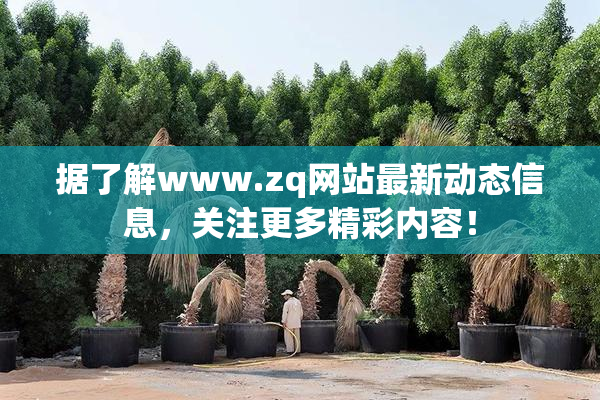 据了解www.zq网站最新动态信息，关注更多精彩内容！