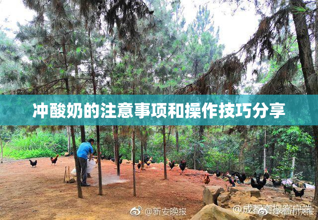 冲酸奶的注意事项和操作技巧分享