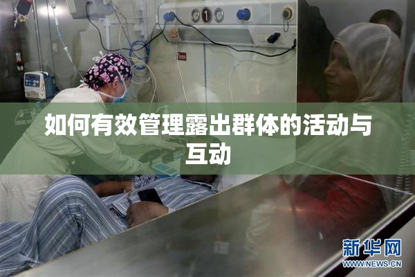 如何有效管理露出群体的活动与互动