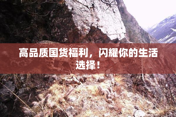 高品质国货福利，闪耀你的生活选择！