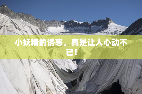 小妖精的诱惑，真是让人心动不已！
