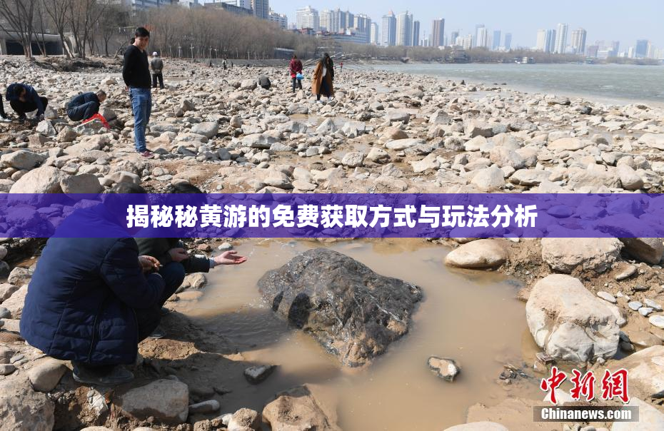 揭秘秘黄游的免费获取方式与玩法分析