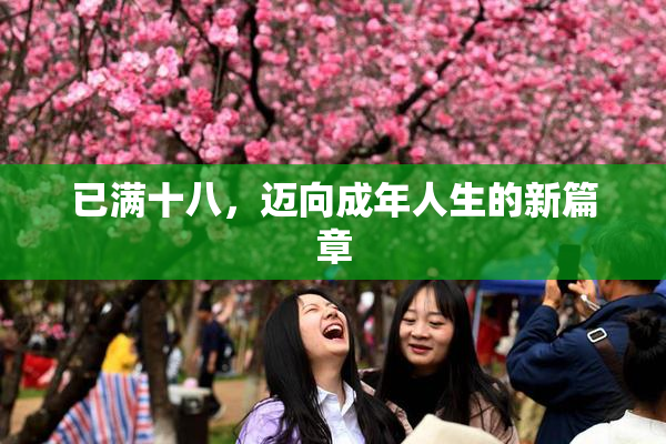 已满十八，迈向成年人生的新篇章