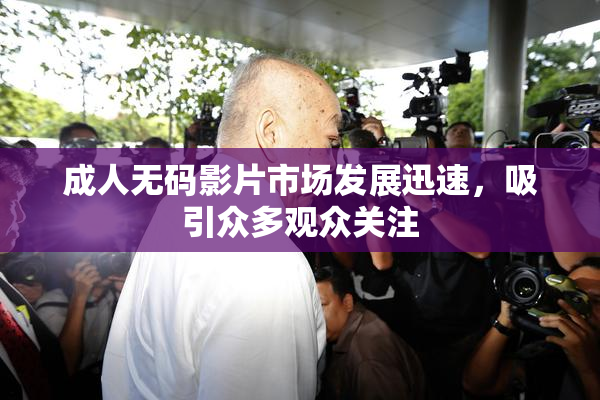 成人无码影片市场发展迅速，吸引众多观众关注